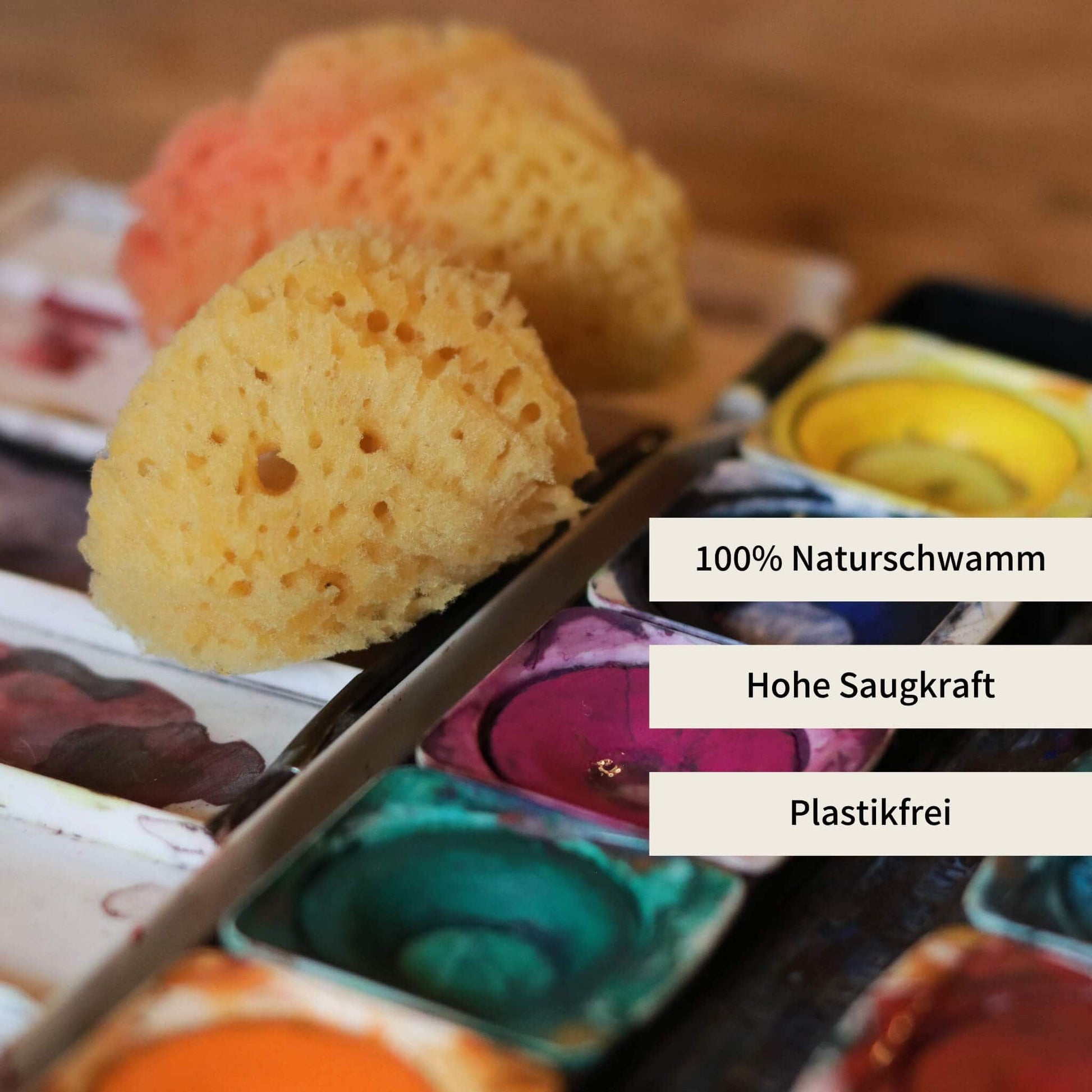 Naturschwamm auf Wasserfarbkasten – idealer Malschwamm mit hoher Saugkraft, 100 % naturbelassen und plastikfrei