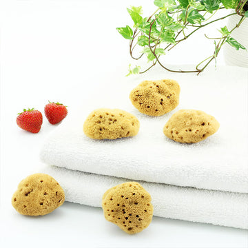 Fünf kleine Menstruationsschwämme aus Naturschwamm auf weißen Handtüchern mit Erdbeeren und grünem Pflanzenarrangement