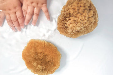 Babyschwamm aus Naturschwamm - Der ultimative Guide