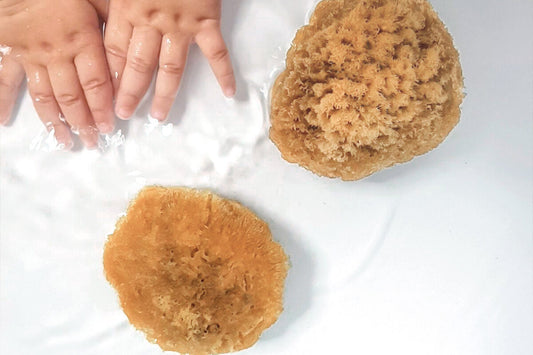 Babyschwamm aus Naturschwamm - Der ultimative Guide