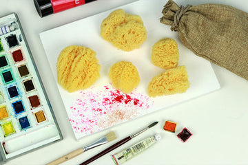 Malschwamm aus Naturschwamm - Der ultimative Guide