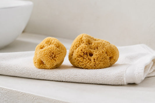 Zwei goldbeige Naturschwämme liegen auf einem gefalteten weißen Handtuch neben einem Waschbecken.
