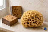 Honeycomb-Naturschwamm und zwei braune Aleppo-Seifenstücke auf einer hellen Badablage.