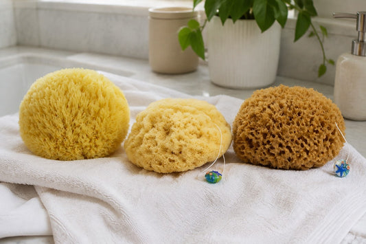 Grass-, Silk- und Honeycomb-Naturschwamm liegen nebeneinander auf einem Handtuch.
