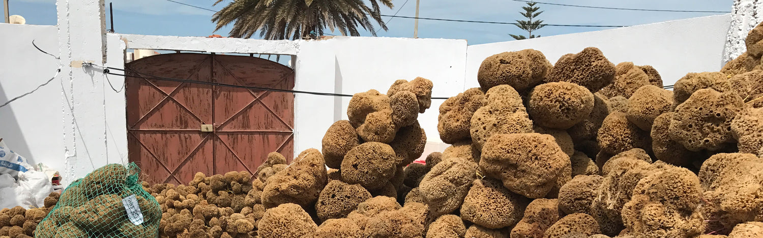 tom&pat Sortiment mit Naturschwämmen, Aleppo-Seife und Menstruationsschwämmen