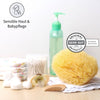 Baby Naturschwamm zur sanften Pflege sensibler Haut mit Dermatest-Siegel, umgeben von Babyartikeln wie Windeln, Wattepads und Pflegeflasche