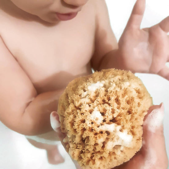 Baby hält einen weichen Babyschwamm aus Naturschwamm voller cremigem Schaum in den Händen