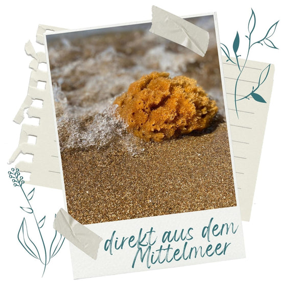 Polaroid-Foto eines Babyschwamms in der Brandung am Sandstrand mit Schriftzug direkt aus dem Mittelmeer