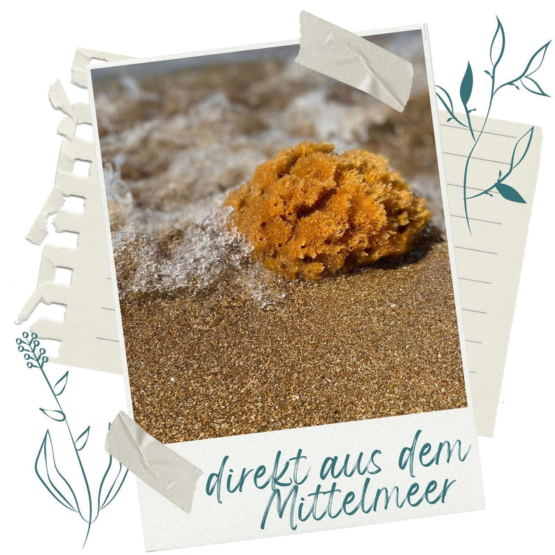 Polaroid-Foto eines Babyschwamms in der Brandung am Sandstrand mit Schriftzug direkt aus dem Mittelmeer