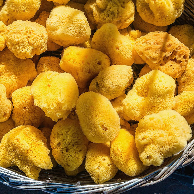 Geflochtener Korb, dicht gefüllt mit gelben Naturschwämmen, von oben fotografiert