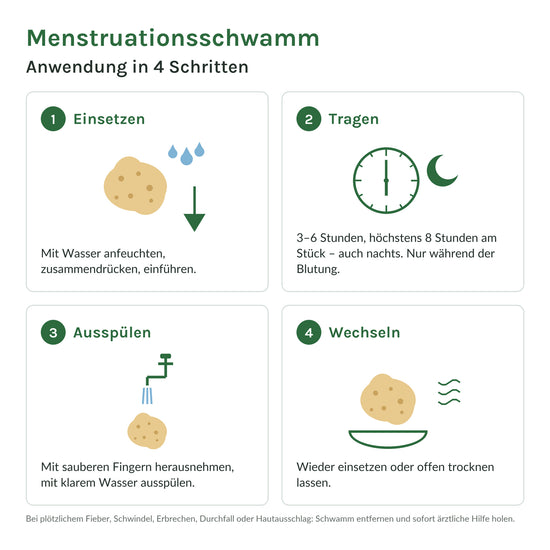 Menstruationsschwamm Anwendung in 4 Schritten: einsetzen, 3–6 Stunden tragen und höchstens 8 Stunden am Stück, ausspülen, wechseln