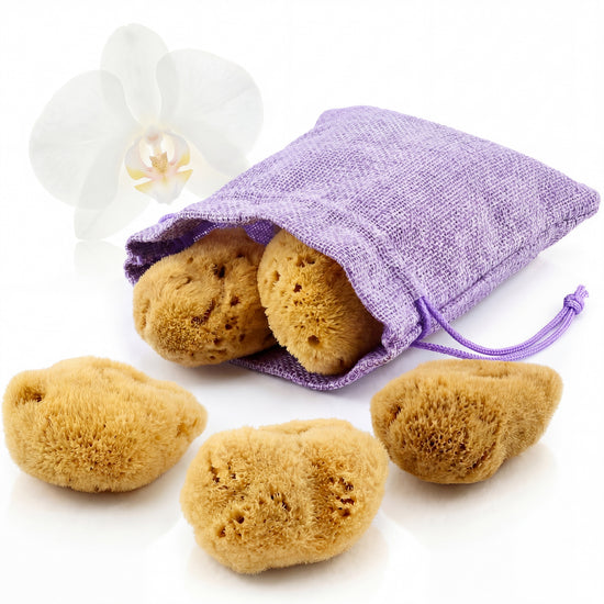 Menstruationsschwämme aus Naturschwamm quellen aus einem lila Leinenbeutel, daneben eine Orchideenblüte, weißer Hintergrund