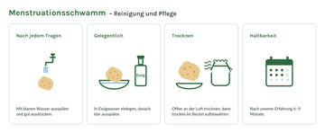 Menstruationsschwamm Reinigung und Pflege: ausspülen, gelegentlich Essigwasser, offen trocknen, nach unserer Erfahrung 6–9 Monate