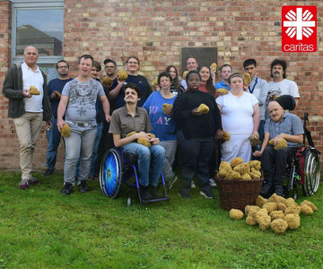 Das Team der Caritas Wertarbeit Köln, zwei davon im Rollstuhl, hält vor einer Backsteinwand Naturschwämme hoch, die es für den Naturprodukte-Shop tom&pat prüft, sortiert und verpackt, davor ein Weidenkorb voller Schwämme