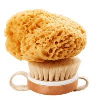 Naturschwamm auf einer Körperbürste als tom&pat Badeschwamm Set für natürliche Körperpflege