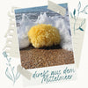 Polaroid-Foto eines Naturschwamms Grass in der Brandung am Strand mit Schriftzug direkt aus dem Mittelmeer