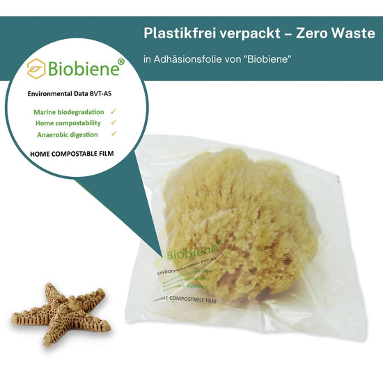 Naturschwamm Grass in einer durchsichtigen Adhäsionsfolie von Biobiene verpackt, daneben ein Seestern