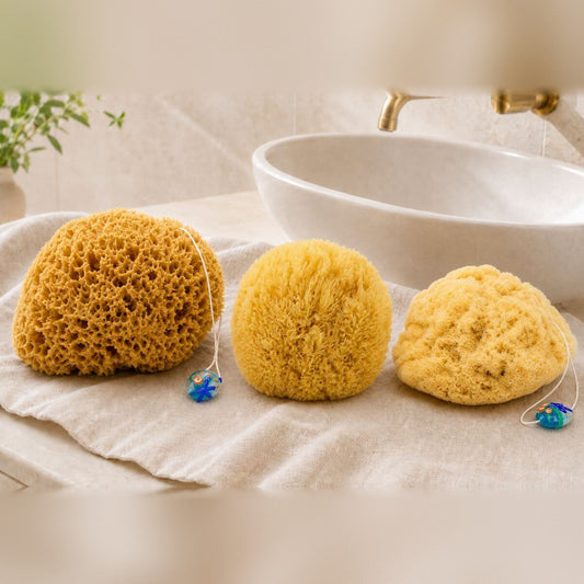 Der Naturschwamm Grass in der Mitte, links der grobporige Honeycomb, rechts der feine Silk, nebeneinander auf einem Leinentuch am Waschbecken