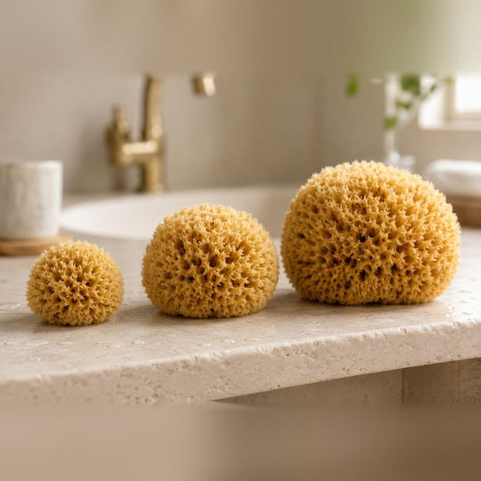 Der Naturschwamm Honeycomb in drei Größen nebeneinander auf einem hellen Steinwaschtisch, vom kleinen Badeschwamm bis zum großen Naturschwamm