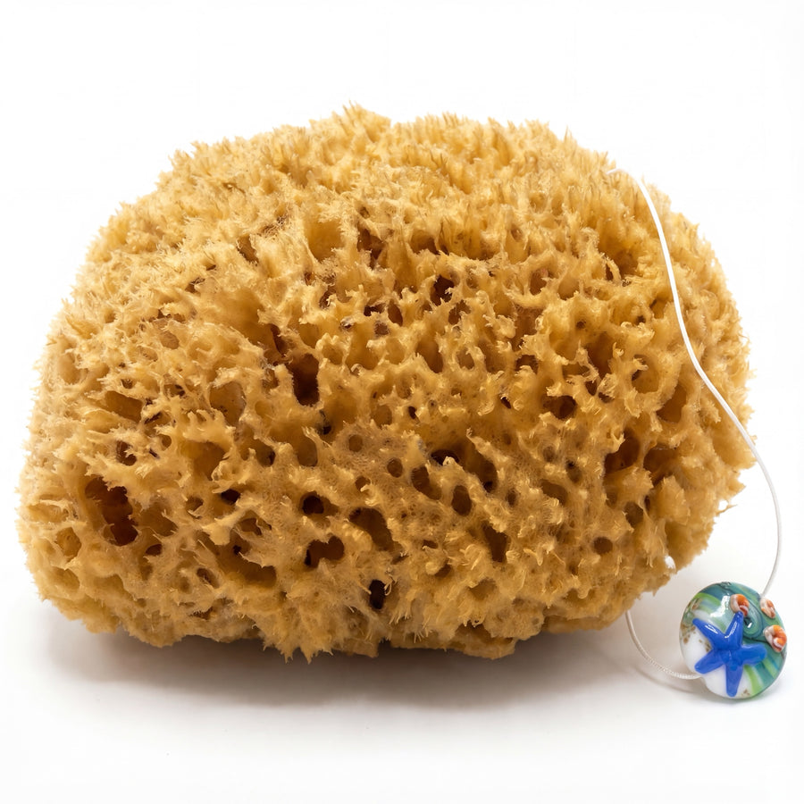 Naturschwamm Honeycomb als Peeling-Schwamm mit weißer Kordel und rundem Glasanhänger mit Seesternmotiv vor weißem Hintergrund