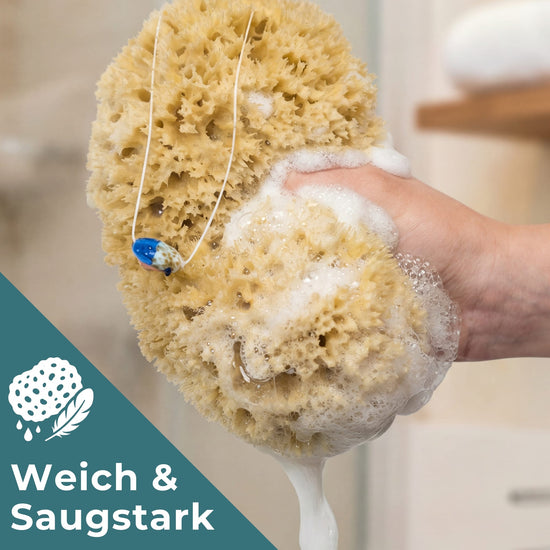 Naturschwamm Honeycomb erzeugt reichlich Schaum – weich auf der Haut und sehr saugstark