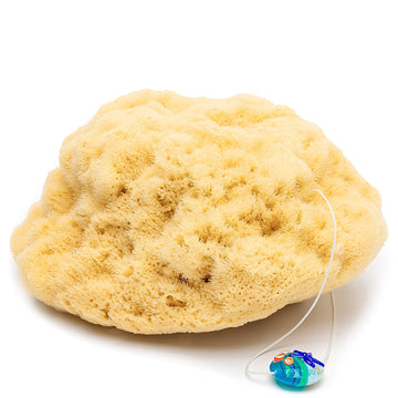 Hellbeiger Silk-Naturschwamm mit weißer Kordel und blauem Glasanhänger vor weißem Hintergrund