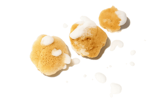 Drei tom&pat Naturschwämme mit Schaum und Tropfen als Badeschwamm Set