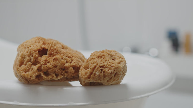 Video zeigt einen Naturschwamm als Babyschwamm für empfindliche Babyhaut
