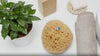 Naturschwamm Honeycomb Badeschwamm – Peeling und Massage im Einsatz