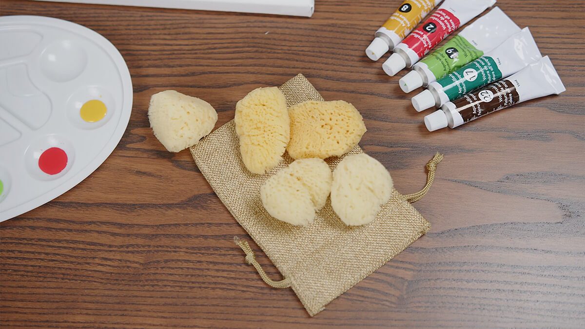 Video: Malschwamm aus Naturschwamm — kreative Maltechniken in Aktion