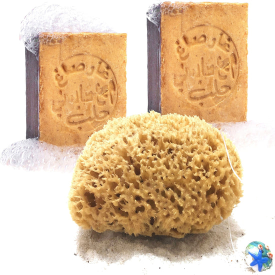 Set mit zwei gestempelten Aleppo-Seifen und Naturschwamm Honeycomb auf Sand mit Glasanhänger